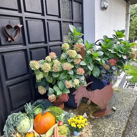 Gemuetliche Auf Dem Ziegenhof Lemgo
