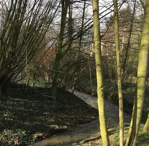 Gemuetliche Auf Dem Ziegenhof *