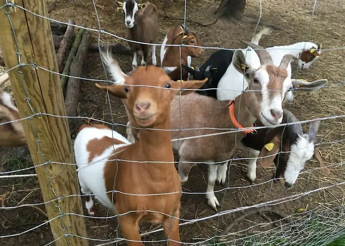 Gemuetliche Auf Dem Ziegenhof شقة