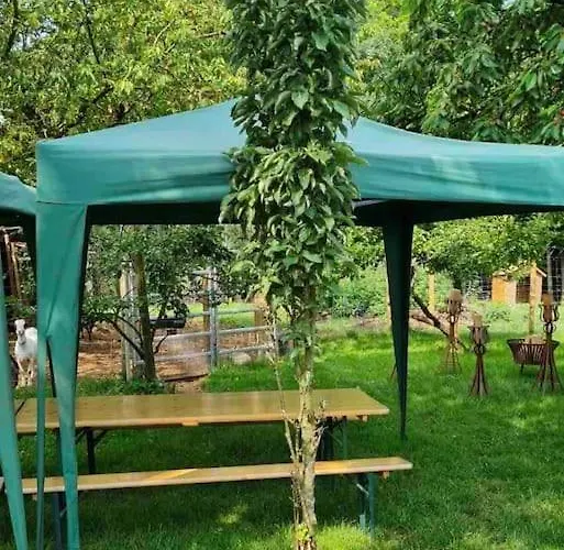 Gemuetliche Auf Dem Ziegenhof * لمغو