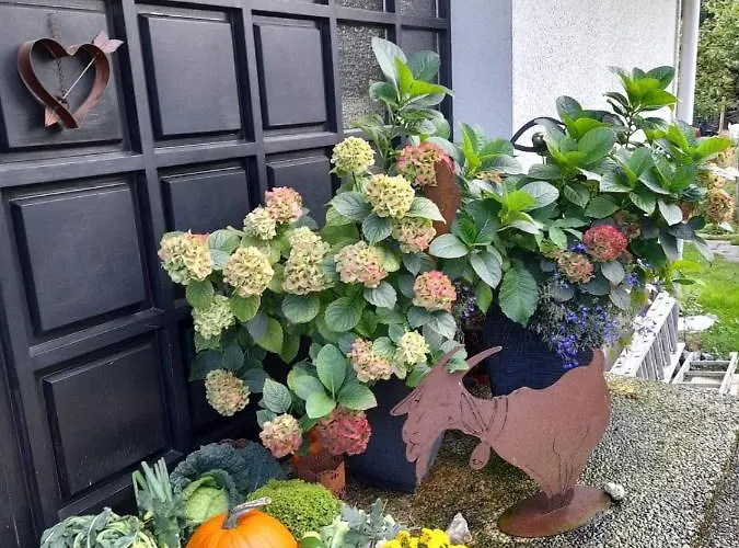 Gemuetliche Auf Dem Ziegenhof Lemgo